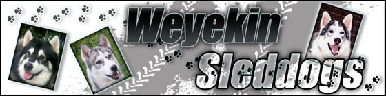 weyekinlink
